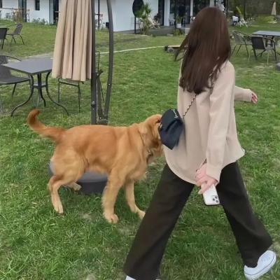 莱斯莉·琼斯：时间机器 海报