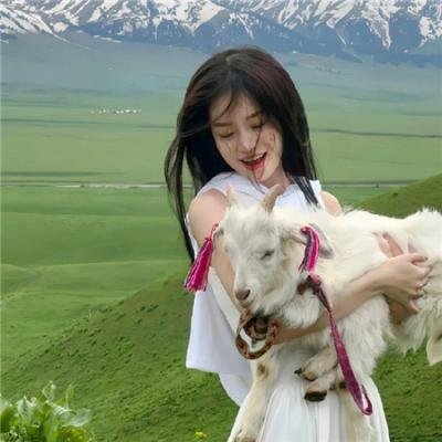 森林：随处可见 海报